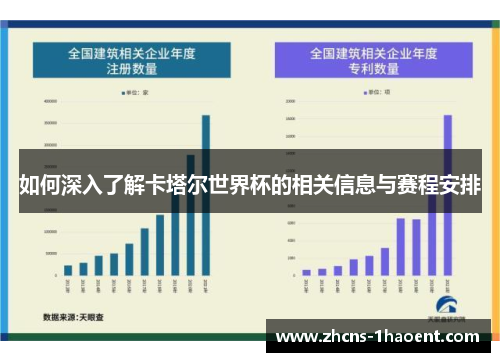如何深入了解卡塔尔世界杯的相关信息与赛程安排