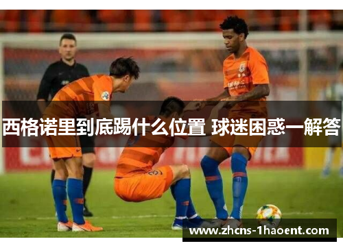 西格诺里到底踢什么位置 球迷困惑一解答