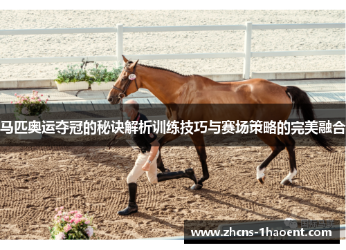 马匹奥运夺冠的秘诀解析训练技巧与赛场策略的完美融合 马匹奥运夺冠的秘诀解析训练技巧与赛场策略的完美融合