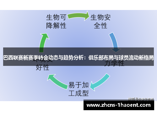 巴西联赛新赛季转会动态与趋势分析：俱乐部布局与球员流动新格局