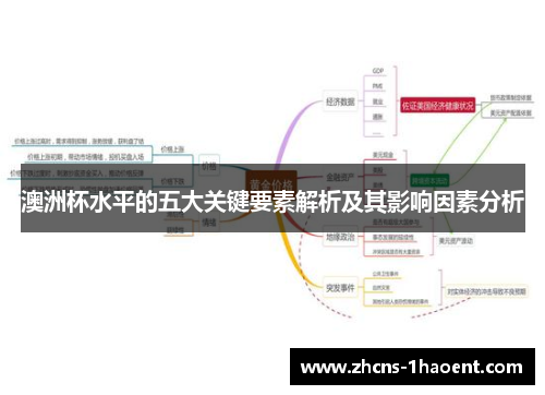 澳洲杯水平的五大关键要素解析及其影响因素分析
