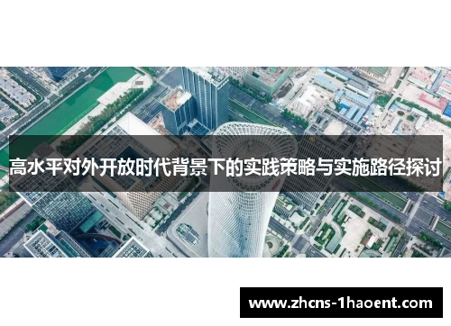 高水平对外开放时代背景下的实践策略与实施路径探讨